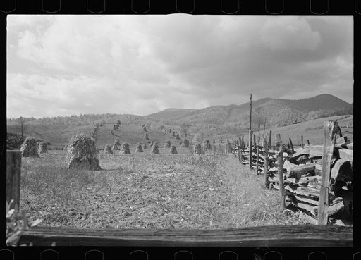 Untitled photo, possibly related to: Fields near Sperryville, Virginia
