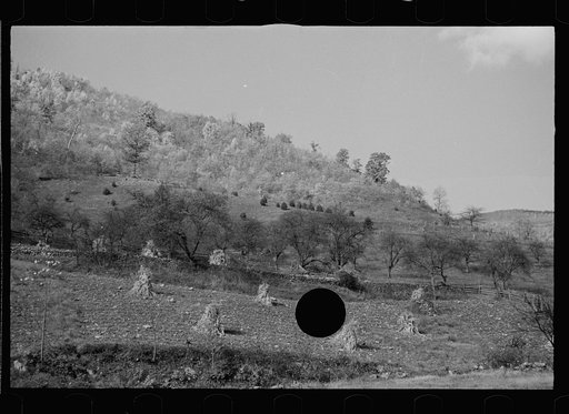 Untitled photo, possibly related to: Fields near Sperryville, Virginia