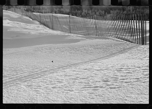 Snow fence, Coos County, New Hampshire