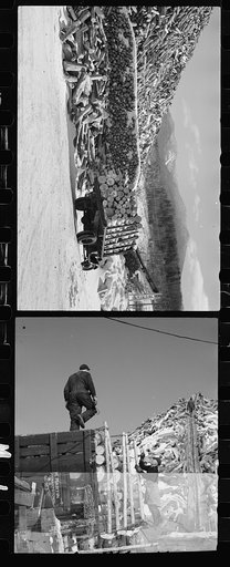 Untitled photo, possibly related to: Pulpwood, Groveton, New Hampshire