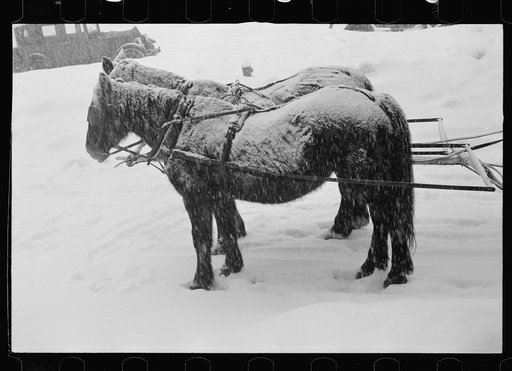 Scene at snow carnival, Lancaster, New Hampshire