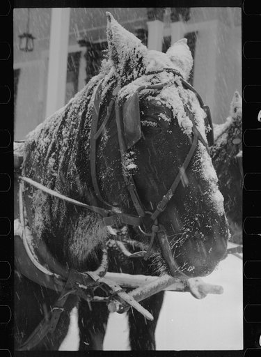 Untitled photo, possibly related to: Citizen, Lancaster, New Hampshire
