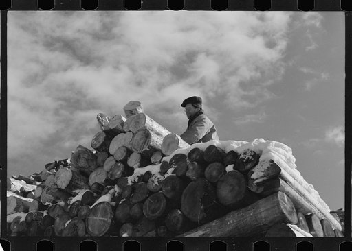 Pulpwood, Groveton, New Hampshire