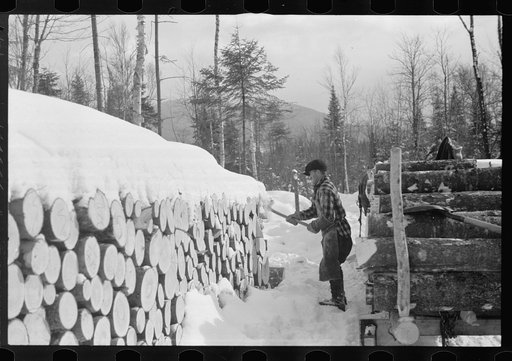 Untitled photo, possibly related to: Loading pulpwood on sled for transportation to paper mill, Coos County, New Hampshire