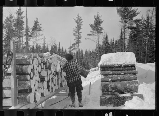 Untitled photo, possibly related to: Loading pulpwood on sled for transportation to paper mill, Coos County, New Hampshire