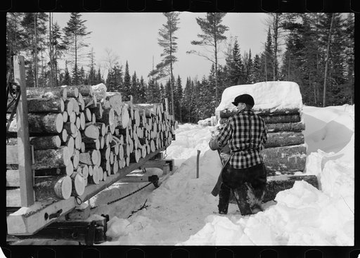 Untitled photo, possibly related to: Loading pulpwood on sled for transportation to paper mill, Coos County, New Hampshire