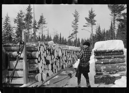Loading pulpwood on sled for transportation to paper mill, Coos County, New Hampshire