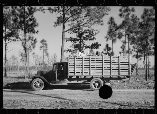 Untitled photo, possibly related to: W.R. Hubbard and family moving their household goods on Penderlea Farms, North Carolina