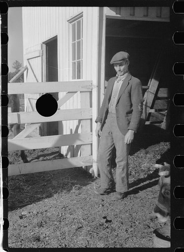 Untitled photo, possibly related to: Zeb Atkinson, homesteader, Penderlea Farms, North Carolina