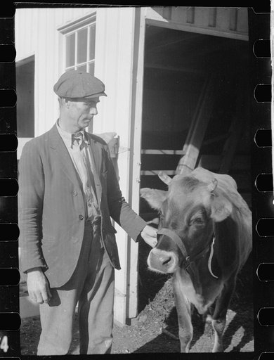 Untitled photo, possibly related to: Zeb Atkinson, homesteader, Penderlea Farms, North Carolina
