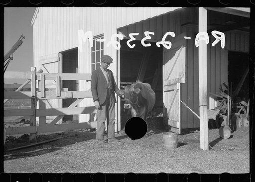 Untitled photo, possibly related to: Zeb Atkinson, homesteader, Penderlea Farms, North Carolina