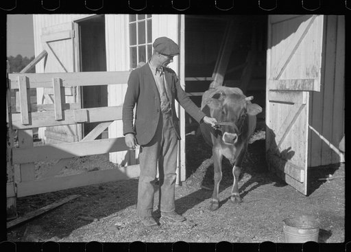 Untitled photo, possibly related to: Zeb Atkinson, homesteader, Penderlea Farms, North Carolina