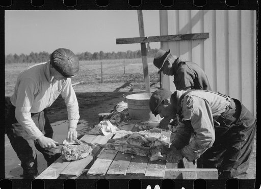 Untitled photo, possibly related to: Butchering hogs on Penderlea Farms, North Carolina