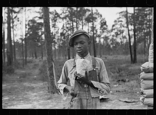 Negro boy selling pecans by road, near Alma, Georgia