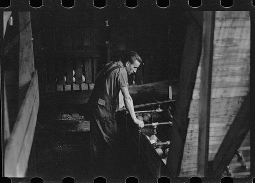 Untitled photo, possibly related to: An employee of the grapefruit canning plant at Winter Haven, Florida