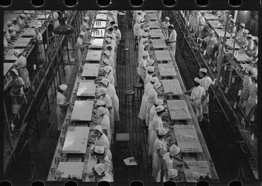 At work in the grapefruit canning plant at Winter Haven, Florida