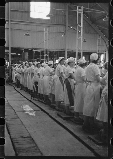 At work in the grapefruit canning plant at Winter Haven, Florida
