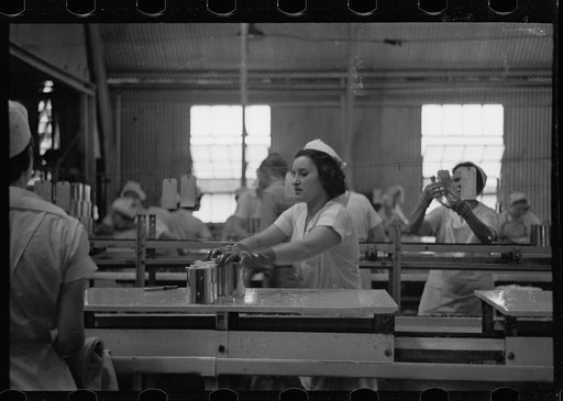 Sectioners at work canning grapefruit. About half of these girls are migrants. Winter Haven, Florida