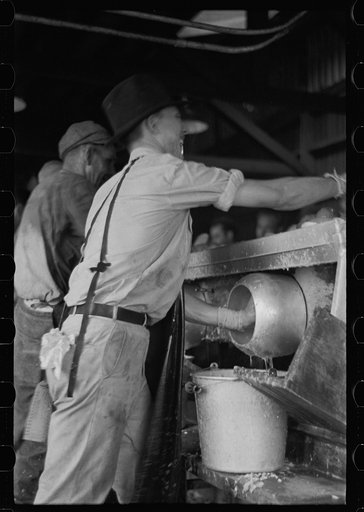 Untitled photo, possibly related to: An employee of the grapefruit canning plant at Winter Haven, Florida