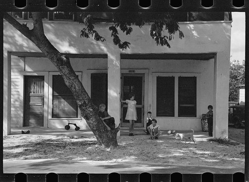Untitled photo, possibly related to: Son of a citrus worker, Winter Haven, Florida