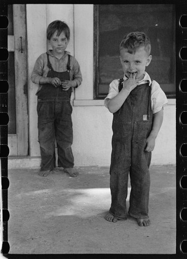 Untitled photo, possibly related to: Son of a citrus worker, Winter Haven, Florida