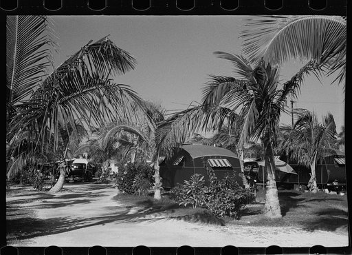 Scene in an auto trailer camp near Dania, Florida, where 200 cars are encamped. This is one of the better trailer camps in Florida. The rates are $5.00 a week, including electricity