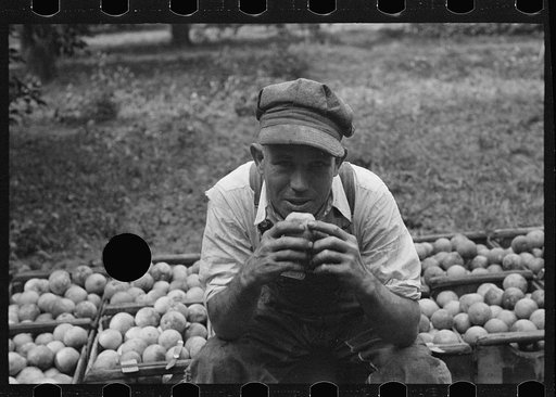 Untitled photo, possibly related to: A Florida orange picker. Many of these workers are migrants. Polk County, Florida