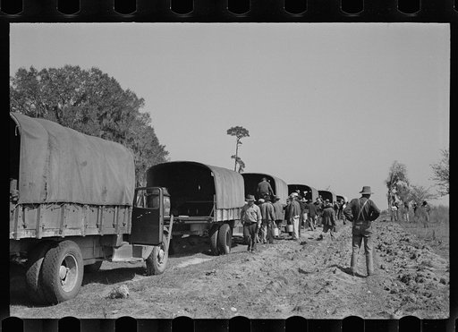 Untitled photo, possibly related to: Trucks used in plant operations, Withlacoochee Land Use Project, Florida