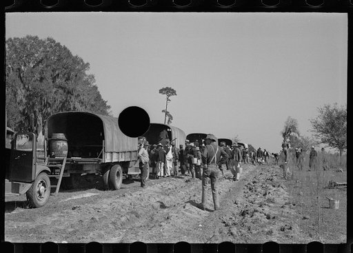 Untitled photo, possibly related to: Trucks used in plant operations, Withlacoochee Land Use Project, Florida