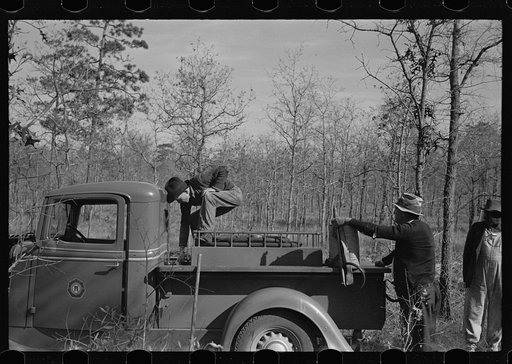 Fire fighting crew getting ready to put out a fire, Withlacoochee Land Use Project, Florida