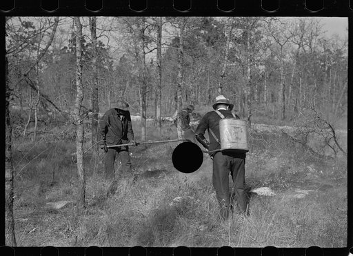 Untitled photo, possibly related to: Putting out a small forest fire, Withlacoochee Land Use Project, Florida