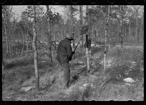 Untitled photo, possibly related to: Putting out a small forest fire, Withlacoochee Land Use Project, Florida