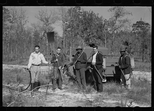 Fire fighting crew, Withlacoochee Land Use Project, Florida