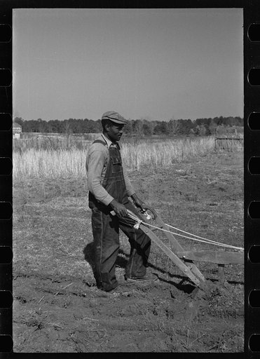 Untitled photo, possibly related to: Plowing at Gee's Bend, Wilcox County, Alabama