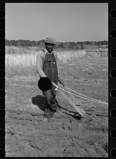 Untitled photo, possibly related to: Plowing at Gee's Bend, Wilcox County, Alabama