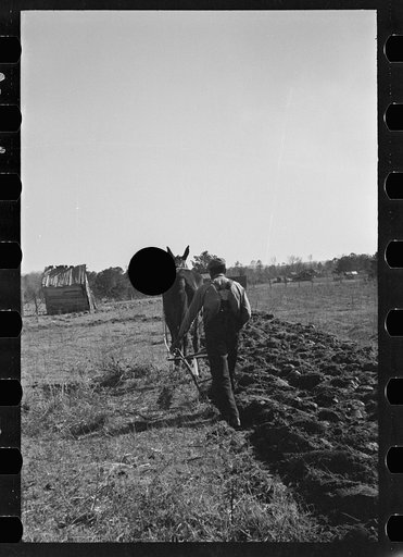 Untitled photo, possibly related to: Plowing, Gee's Bend, Alabama