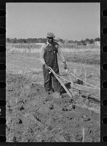 Untitled photo, possibly related to: Plowing, Gee's Bend, Alabama