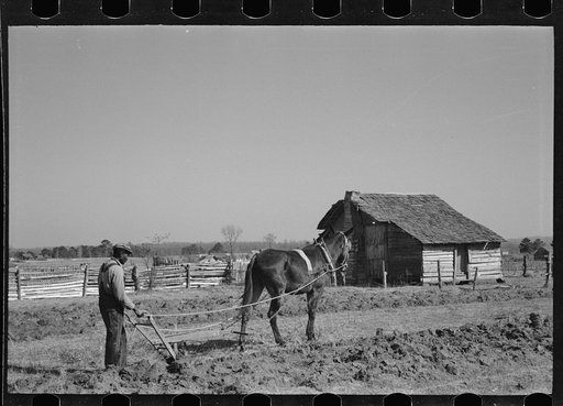 Untitled photo, possibly related to: Plowing, Gee's Bend, Alabama