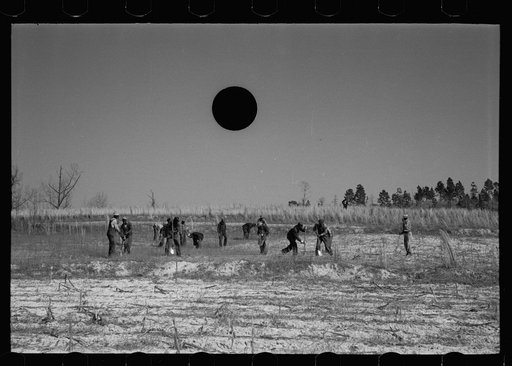 Untitled photo, possibly related to: Planting slash pine, Macon County, Alabama, Tuskegee Project