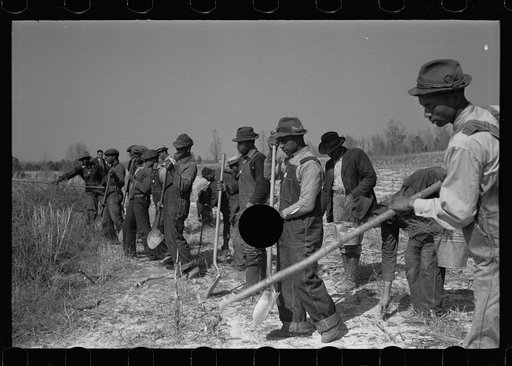Untitled photo, possibly related to: Planting slash pine, Macon County, Alabama, Tuskegee Project