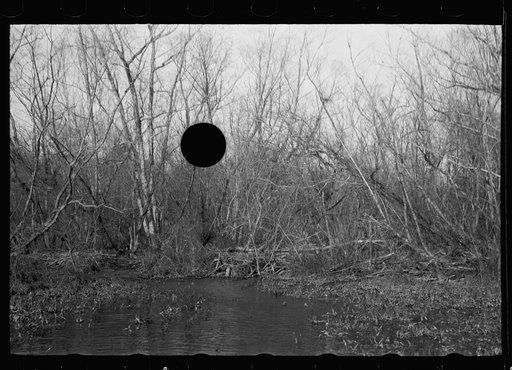 Untitled photo, possibly related to: Beaver dam, Tuskegee Project, Macon County, Alabama