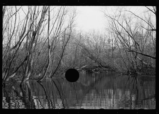 Untitled photo, possibly related to: Beaver dam, Tuskegee Project, Macon County, Alabama