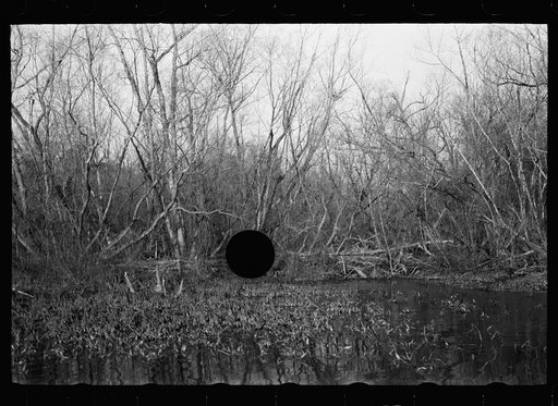 Untitled photo, possibly related to: Beaver dam, Tuskegee Project, Macon County, Alabama