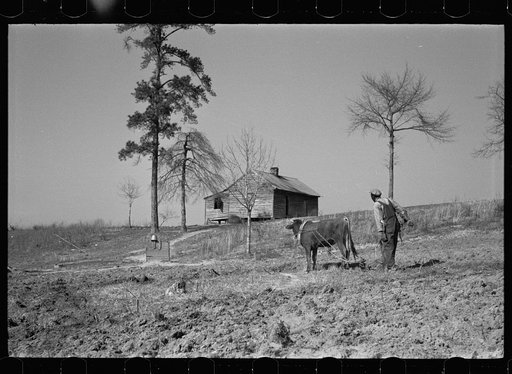 Plowing, Macon County, Alabama