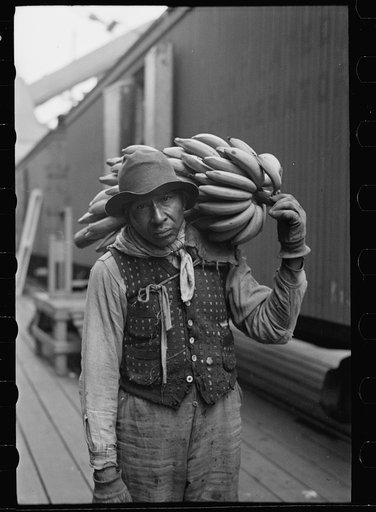 Unloading bananas on the dock, Mobile, Alabama