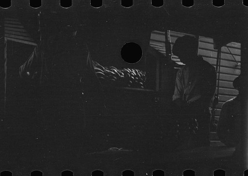 Untitled photo, possibly related to: Unloading bananas on the dock, Mobile, Alabama
