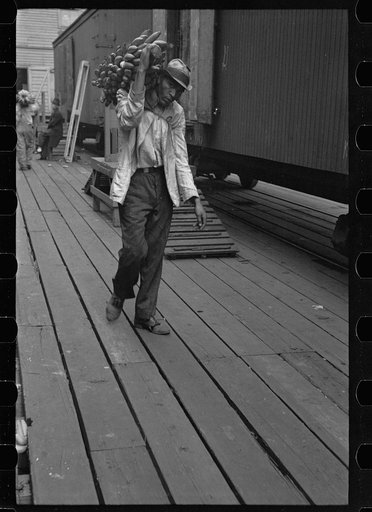 Untitled photo, possibly related to: Unloading bananas on the dock, Mobile, Alabama