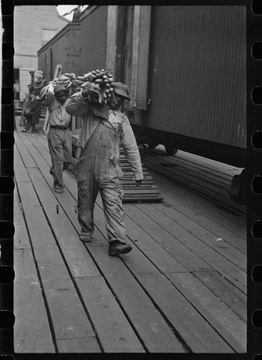 Loading bananas, Mobile, Alabama