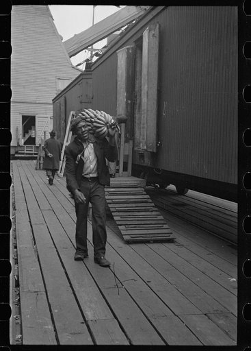 Untitled photo, possibly related to: Unloading bananas on the dock, Mobile, Alabama