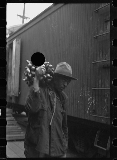 Untitled photo, possibly related to: Loading bananas, Mobile, Alabama